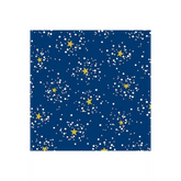 Northern Lights A-9101-MB